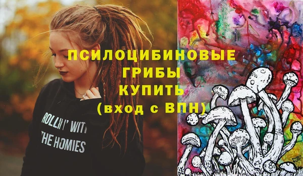 дживик Алексин