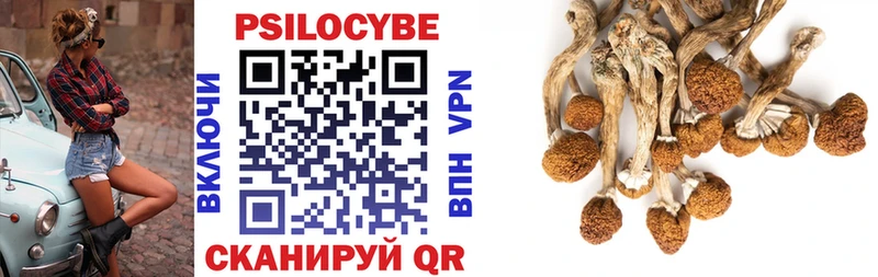 Псилоцибиновые грибы Psilocybine cubensis  Сясьстрой 